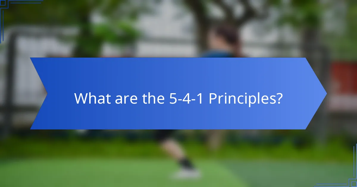 What are the 5-4-1 Principles?